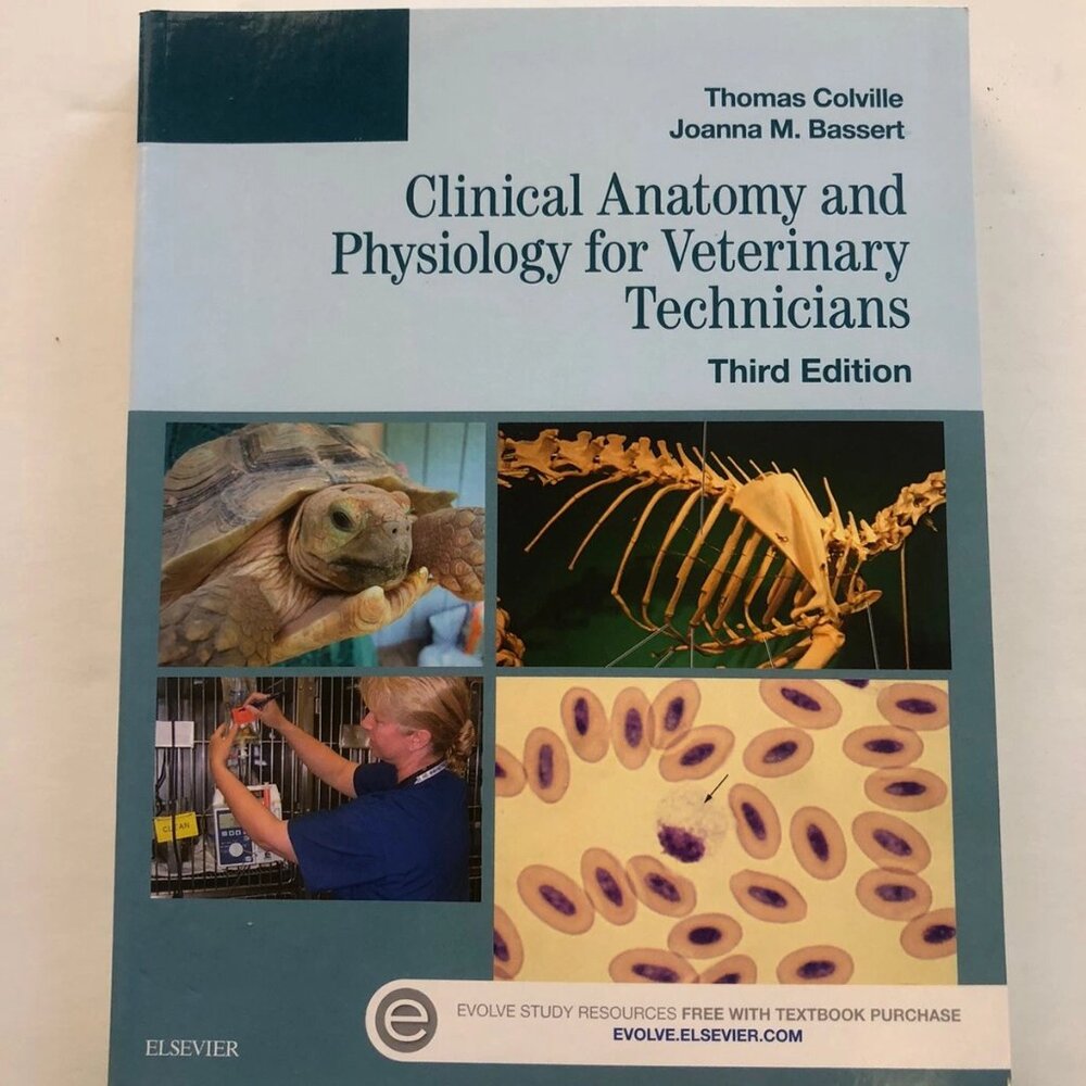 NEW Clinical Anatomy & Physiology for Veterinary Technicians